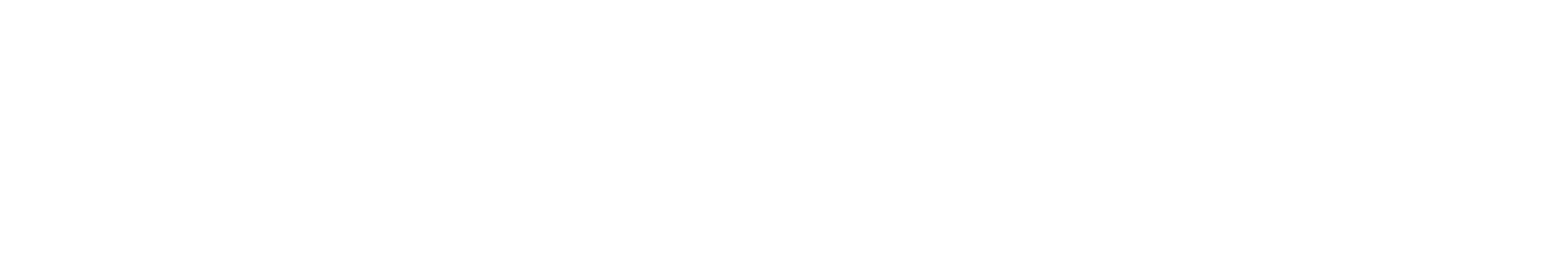 YN Metallurgicals Logo White